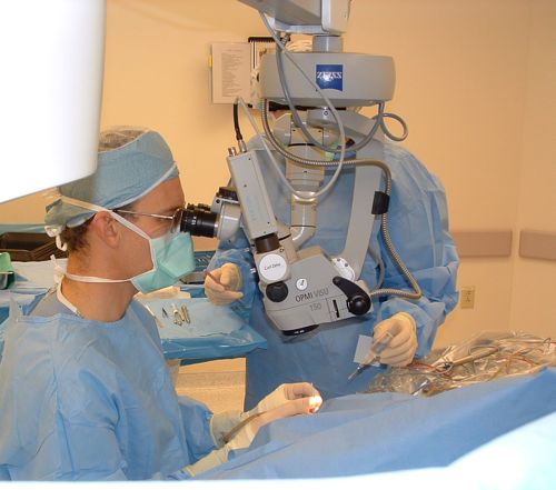 surgeon